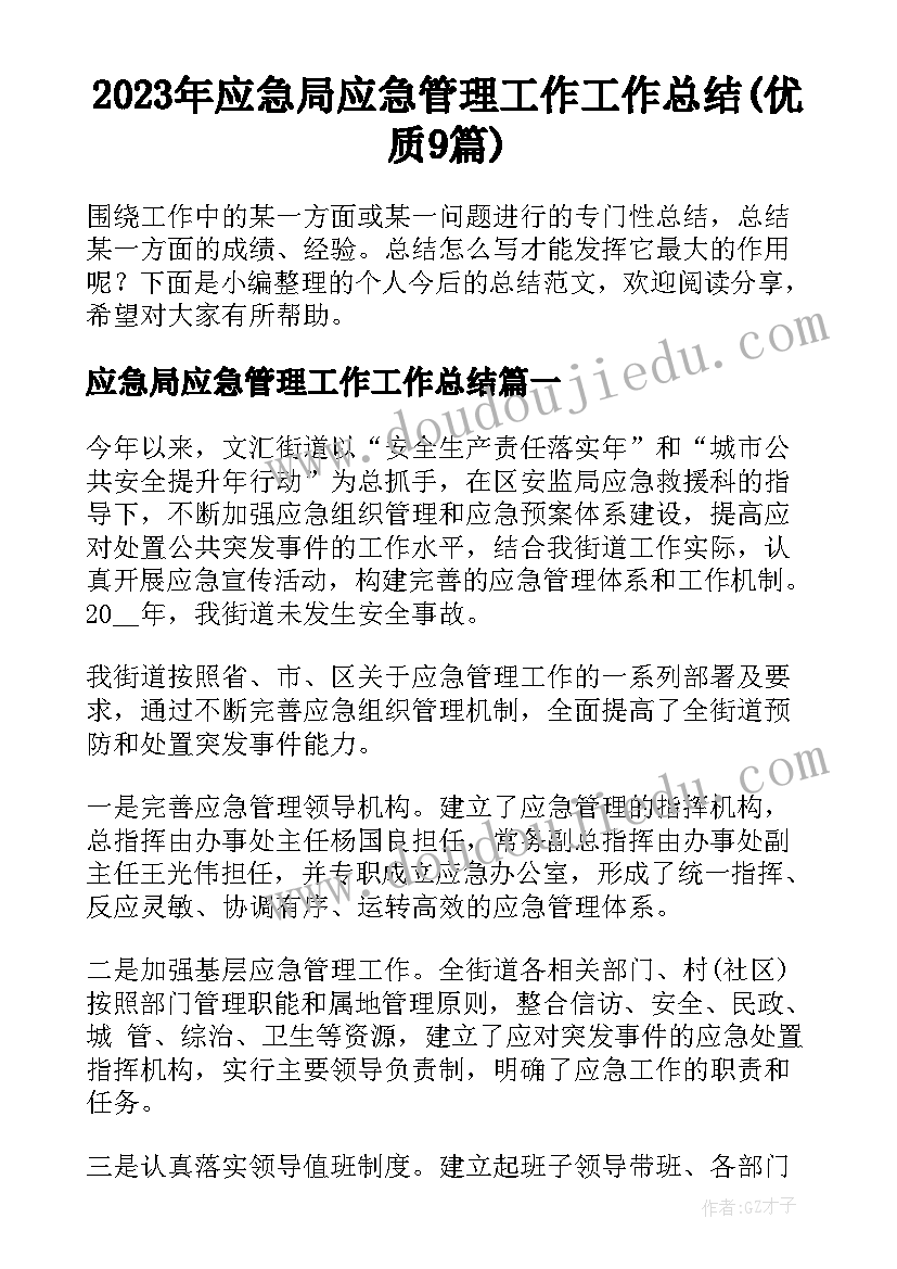 2023年应急局应急管理工作工作总结(优质9篇)