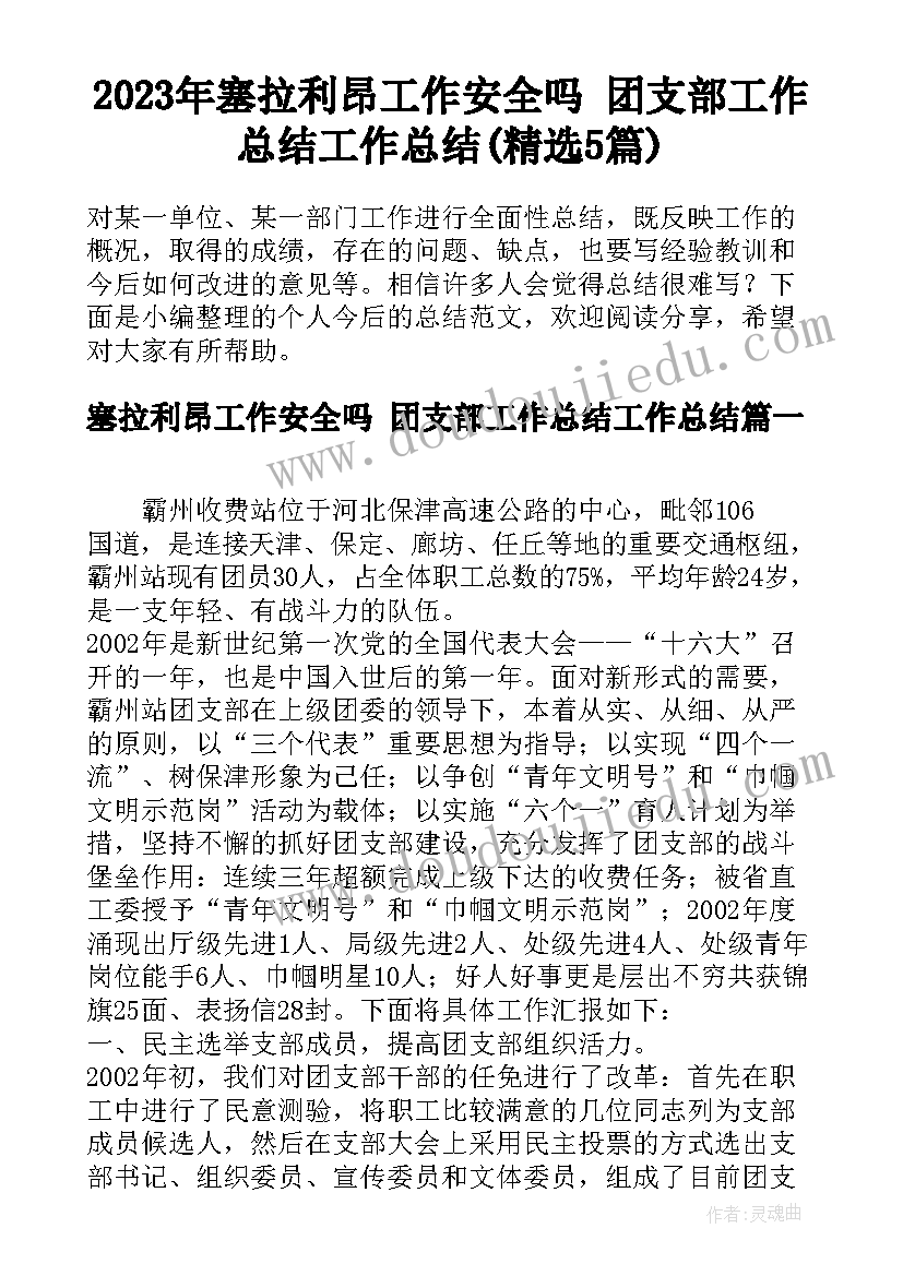 2023年塞拉利昂工作安全吗 团支部工作总结工作总结(精选5篇)