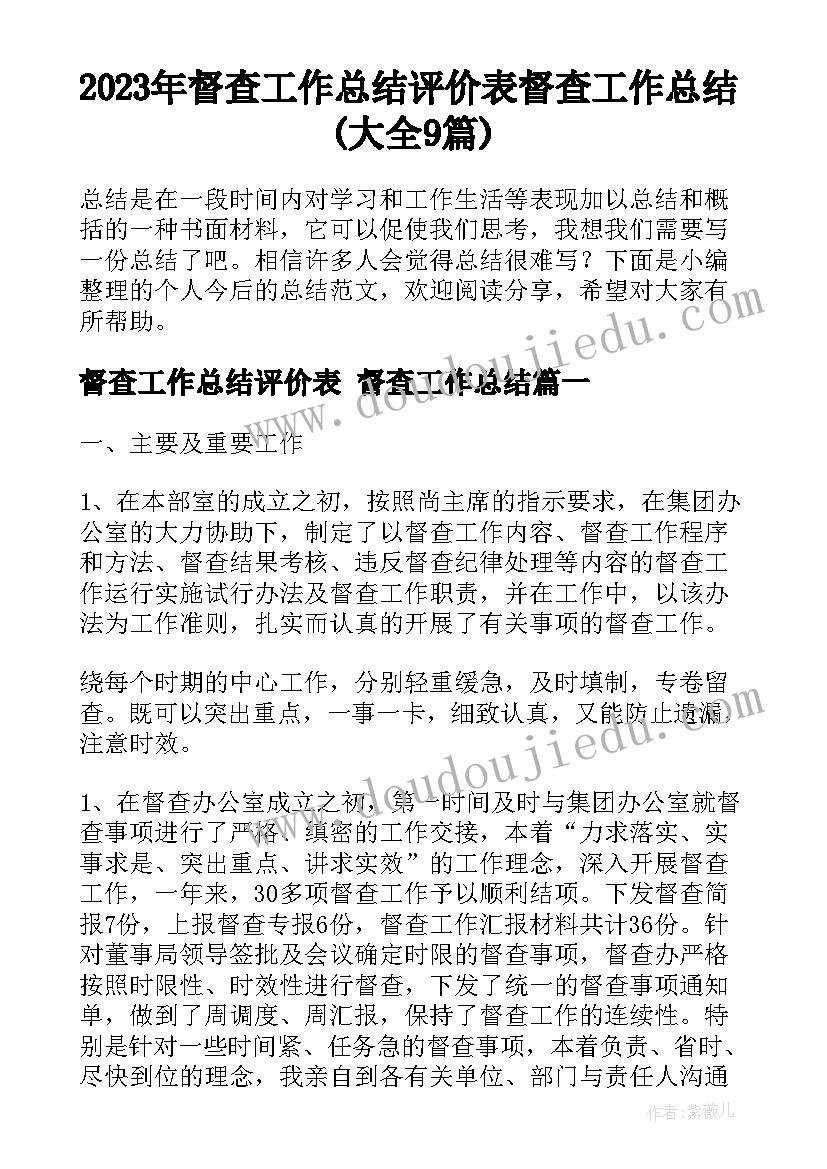 2023年督查工作总结评价表 督查工作总结(大全9篇)