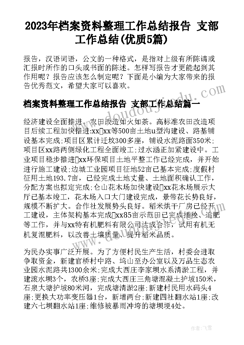 2023年档案资料整理工作总结报告 支部工作总结(优质5篇)