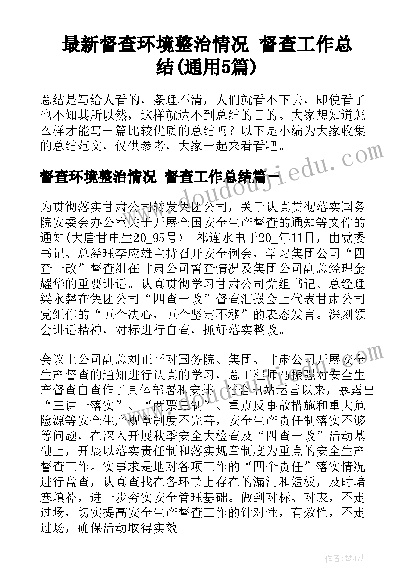 最新督查环境整治情况 督查工作总结(通用5篇)