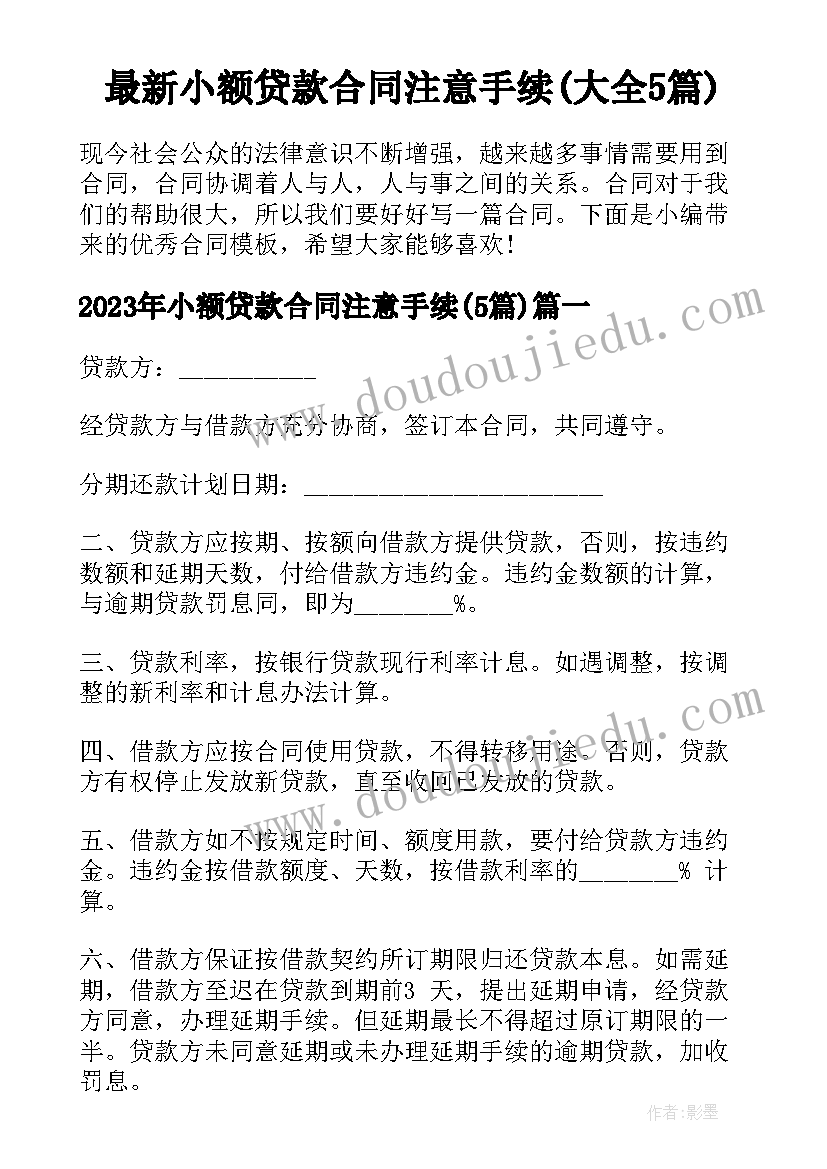 最新小额贷款合同注意手续(大全5篇)