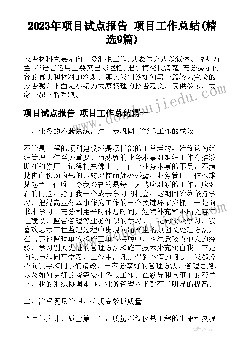 2023年项目试点报告 项目工作总结(精选9篇)