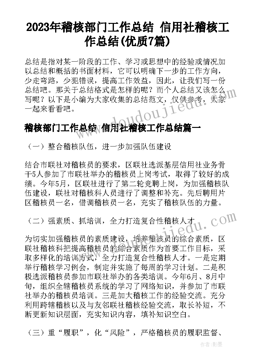 2023年稽核部门工作总结 信用社稽核工作总结(优质7篇)