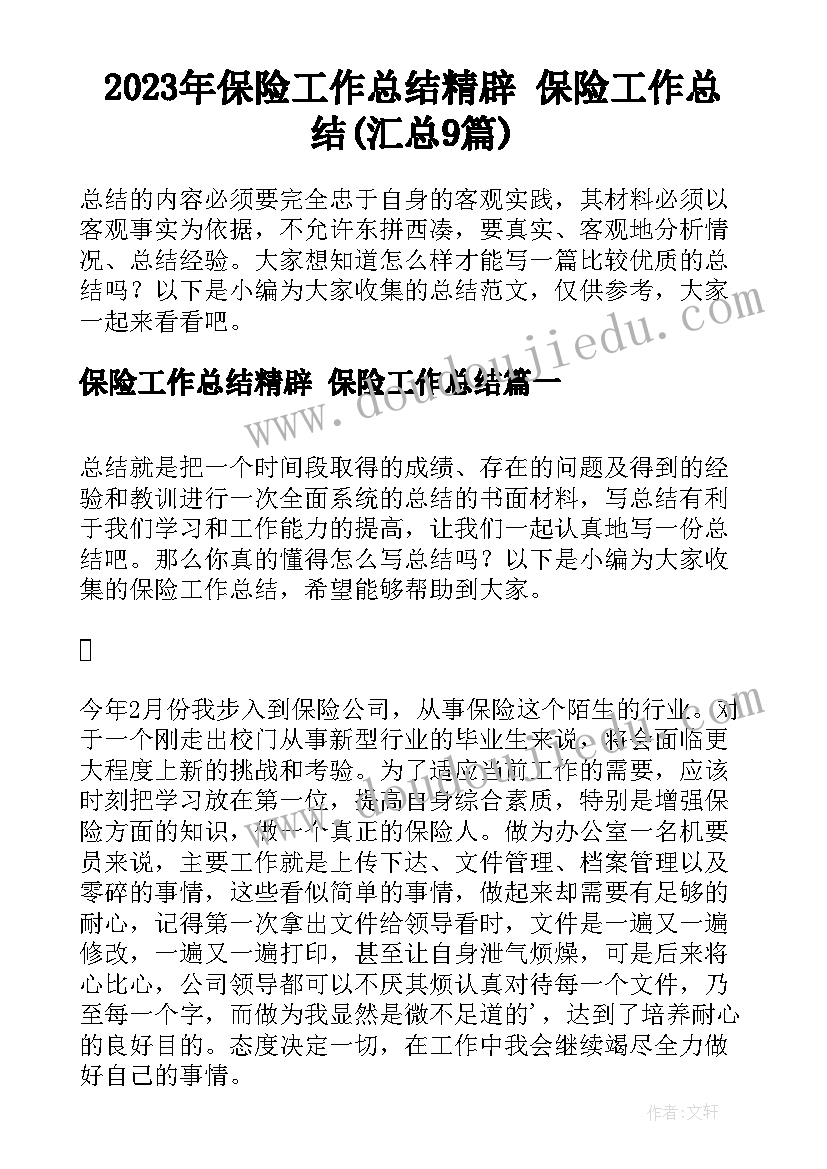 2023年保险工作总结精辟 保险工作总结(汇总9篇)