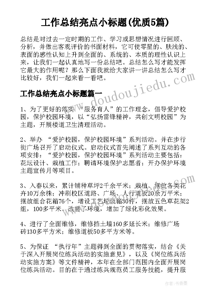 工作总结亮点小标题(优质5篇)