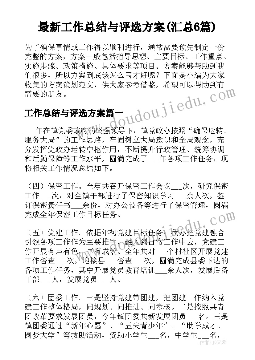 最新工作总结与评选方案(汇总6篇)