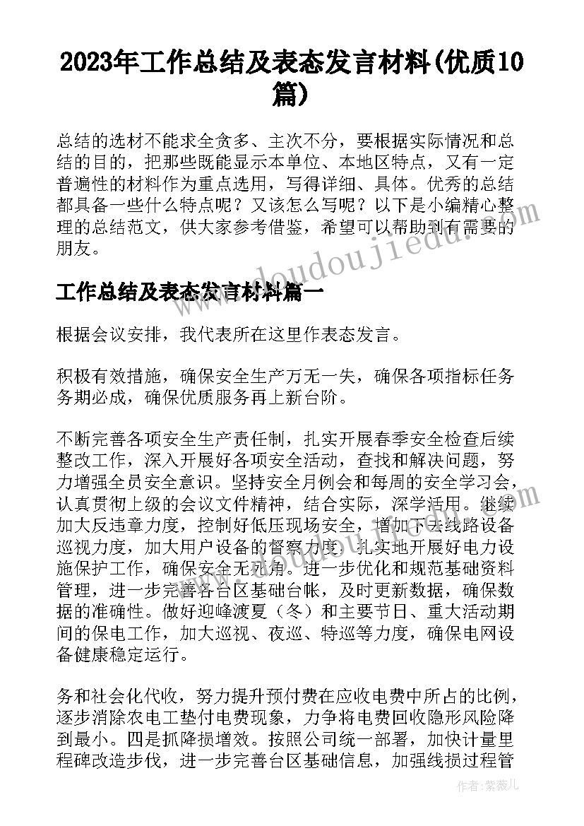 2023年工作总结及表态发言材料(优质10篇)