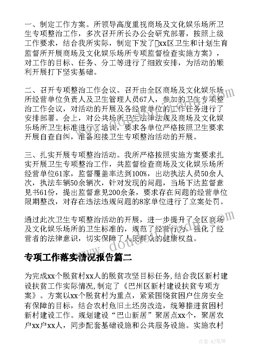 2023年专项工作落实情况报告(汇总8篇)