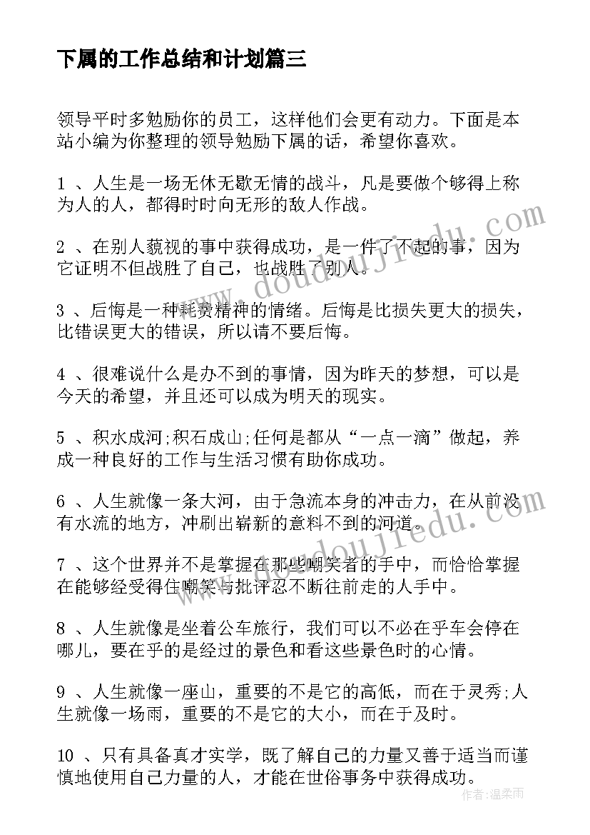 2023年下属的工作总结和计划(模板7篇)