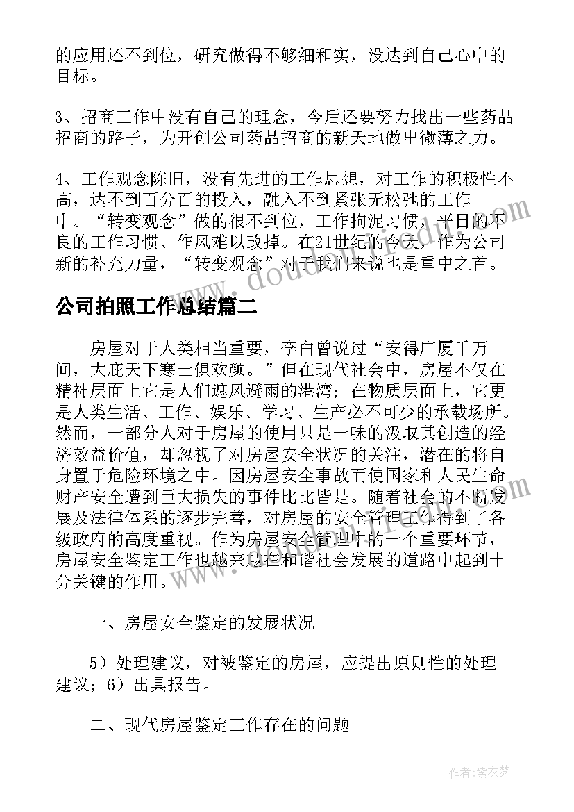 2023年公司拍照工作总结(优质10篇)