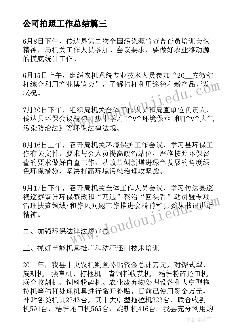 2023年公司拍照工作总结(优质10篇)