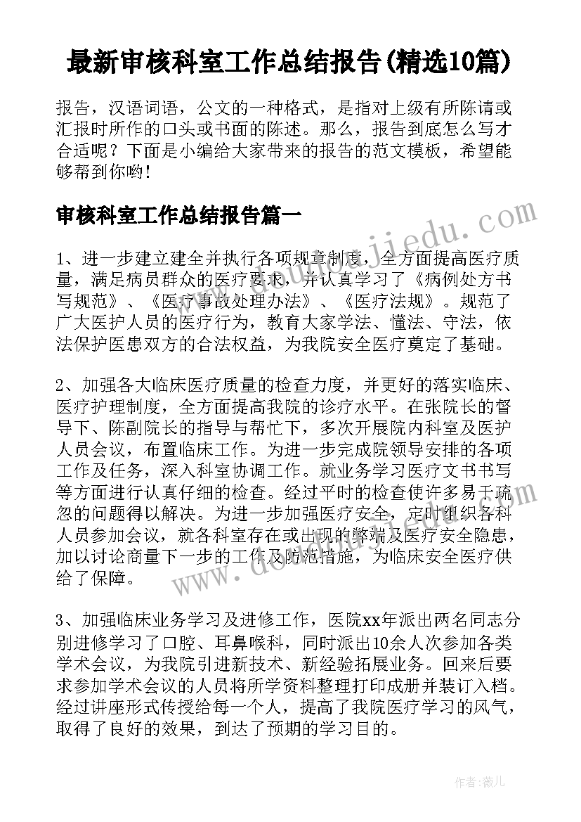 最新审核科室工作总结报告(精选10篇)