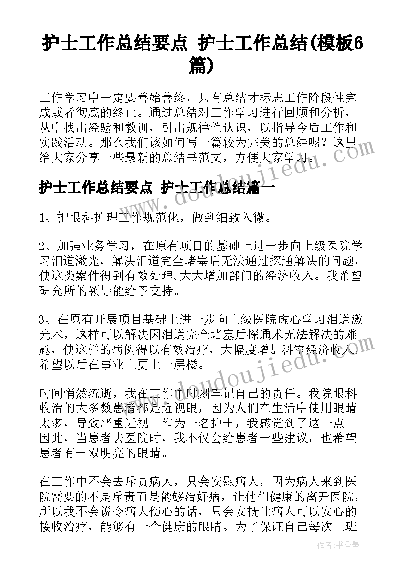 护士工作总结要点 护士工作总结(模板6篇)