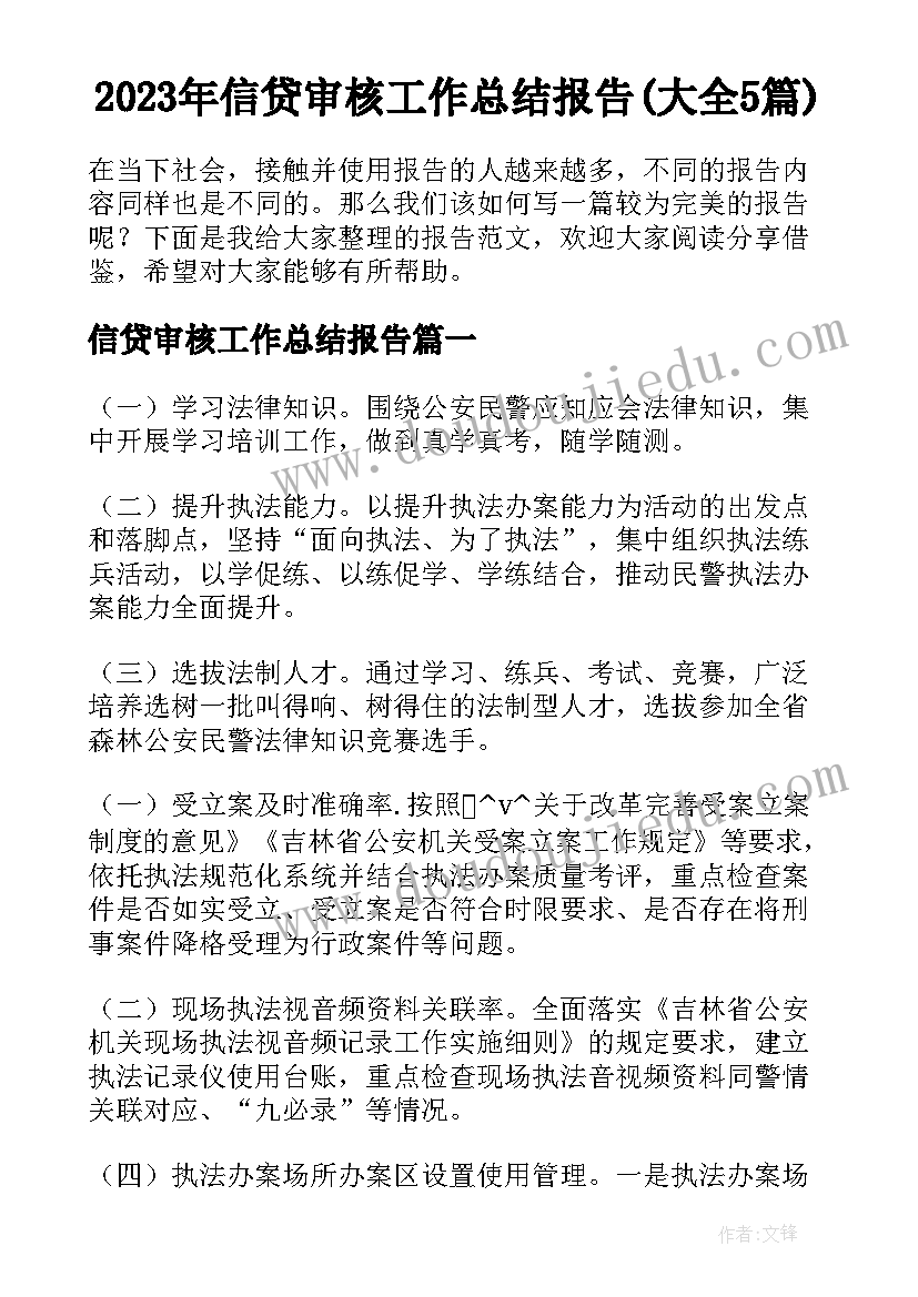 2023年信贷审核工作总结报告(大全5篇)