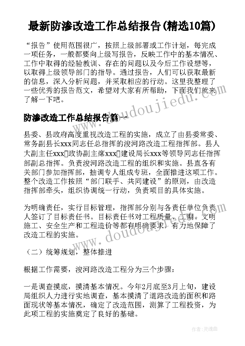 最新防渗改造工作总结报告(精选10篇)