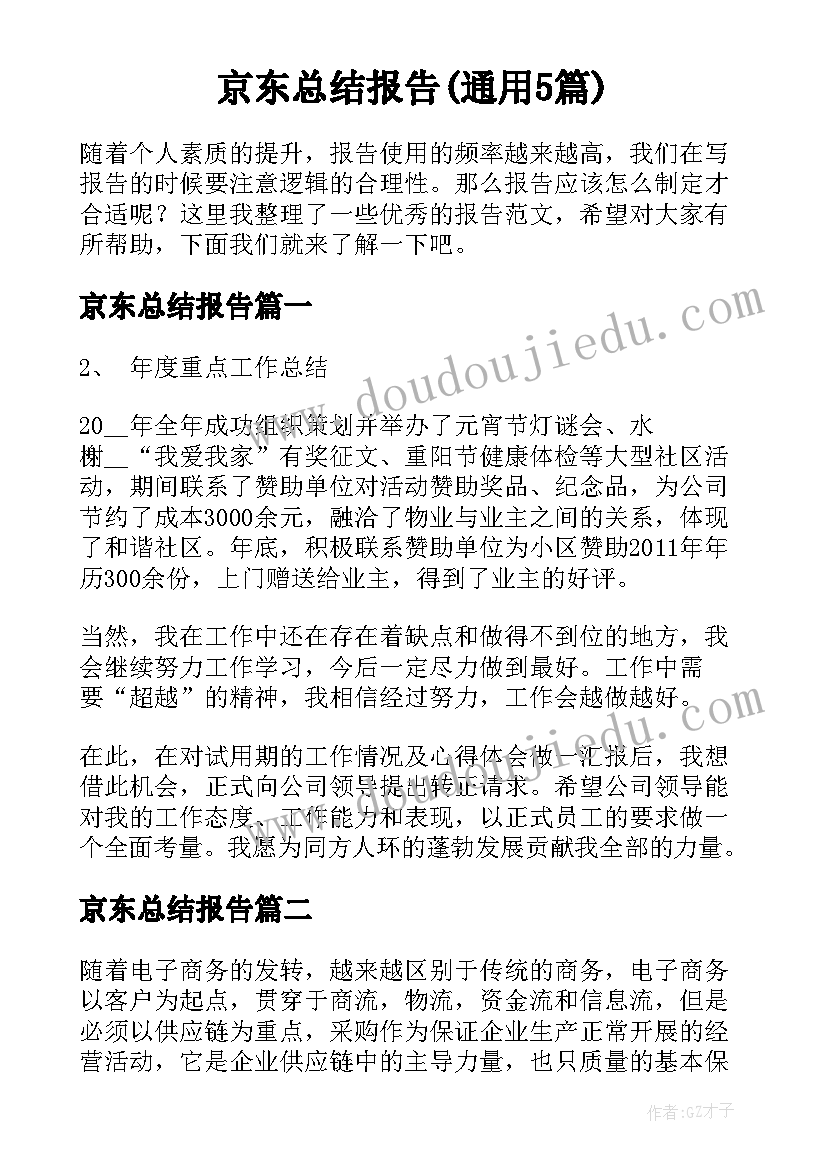 京东总结报告(通用5篇)