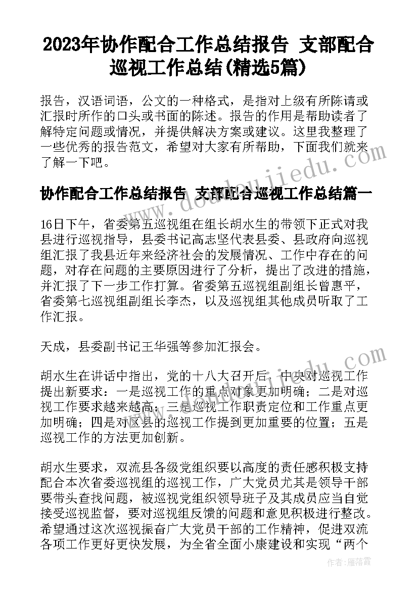 2023年协作配合工作总结报告 支部配合巡视工作总结(精选5篇)