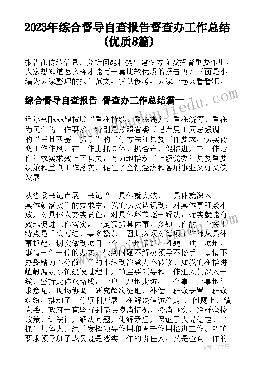 2023年综合督导自查报告 督查办工作总结(优质8篇)