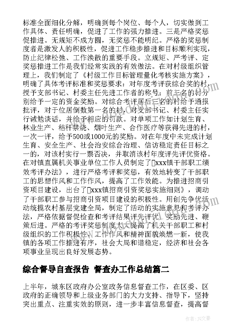 2023年综合督导自查报告 督查办工作总结(优质8篇)