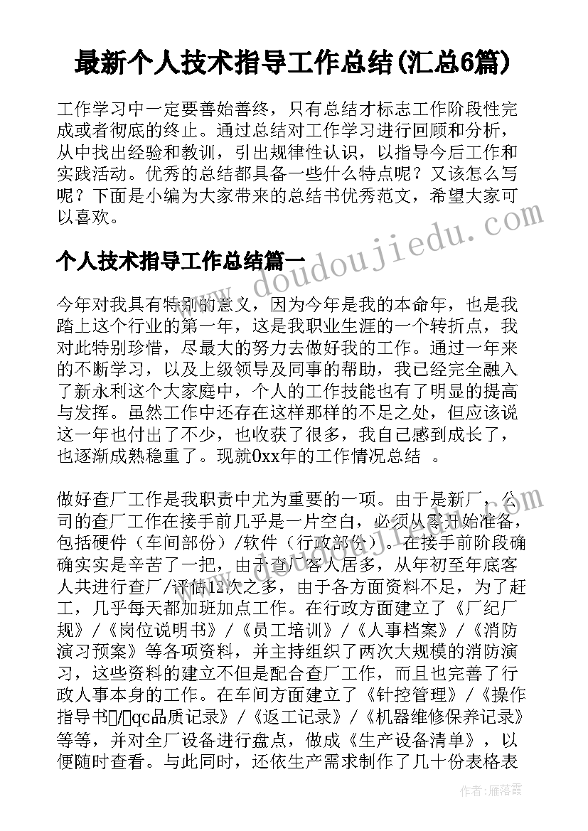 最新个人技术指导工作总结(汇总6篇)