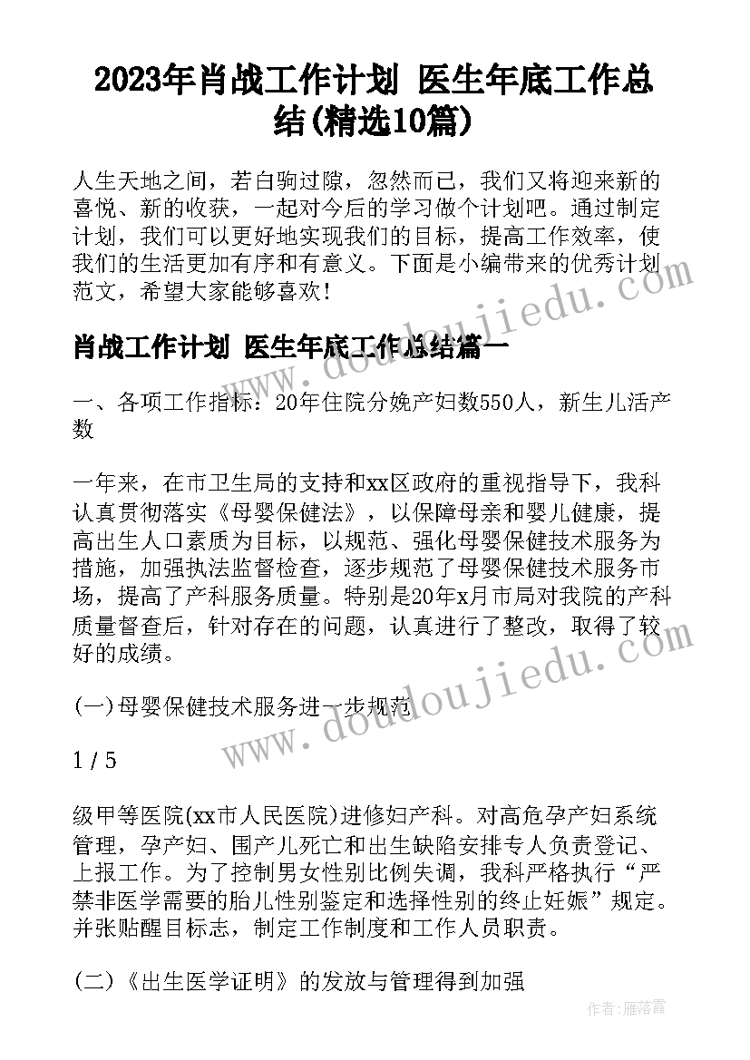 2023年肖战工作计划 医生年底工作总结(精选10篇)