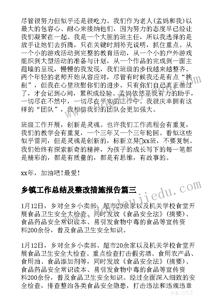 最新乡镇工作总结及整改措施报告(大全5篇)