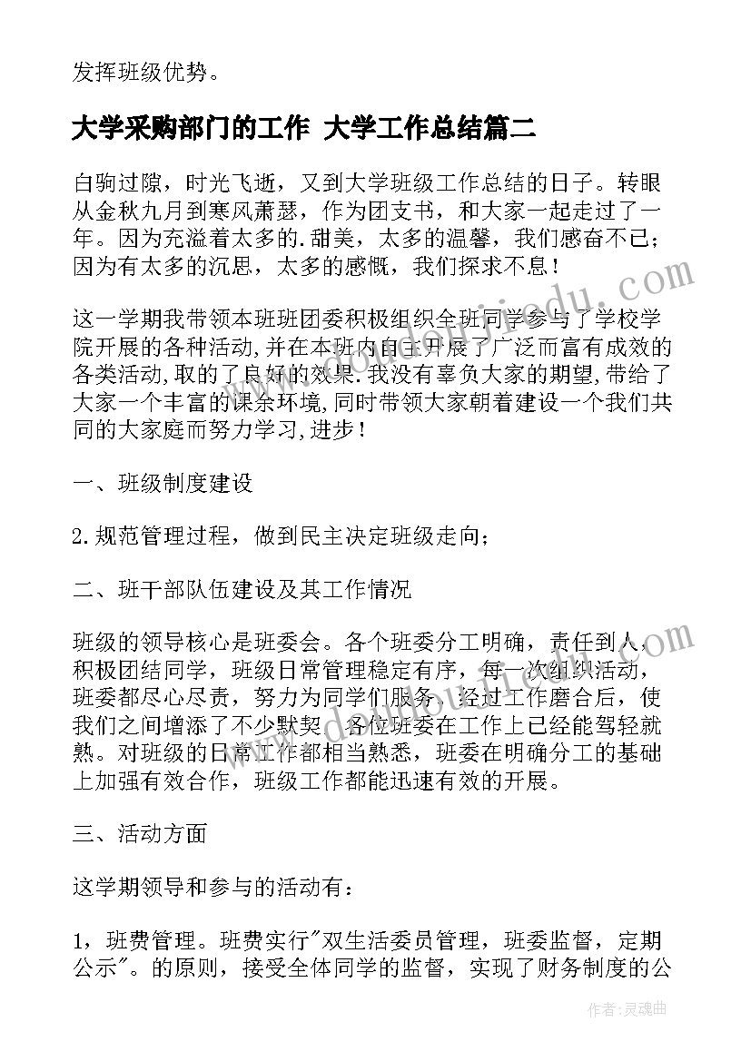 最新大学采购部门的工作 大学工作总结(模板10篇)