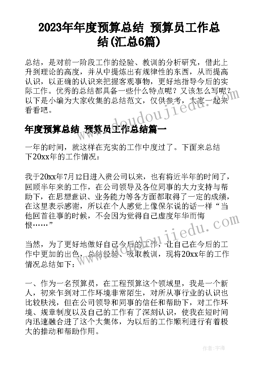 2023年年度预算总结 预算员工作总结(汇总6篇)