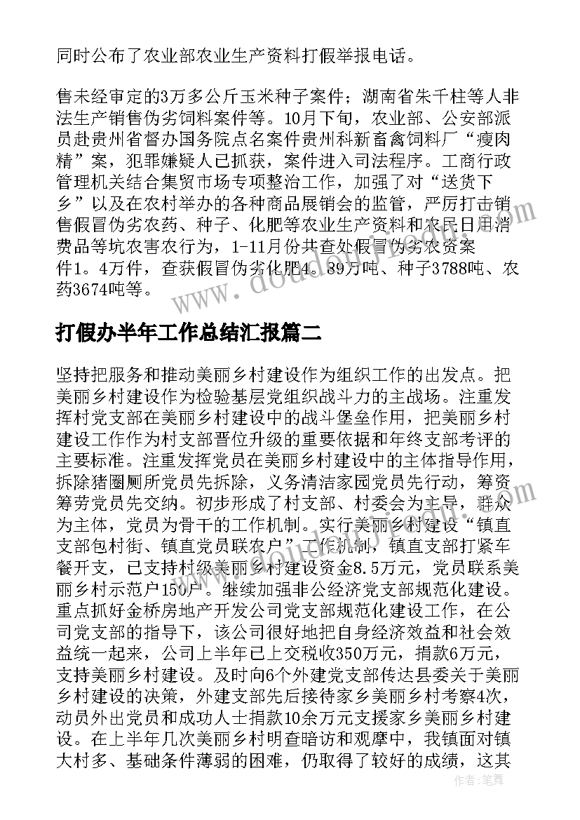 2023年打假办半年工作总结汇报(精选10篇)