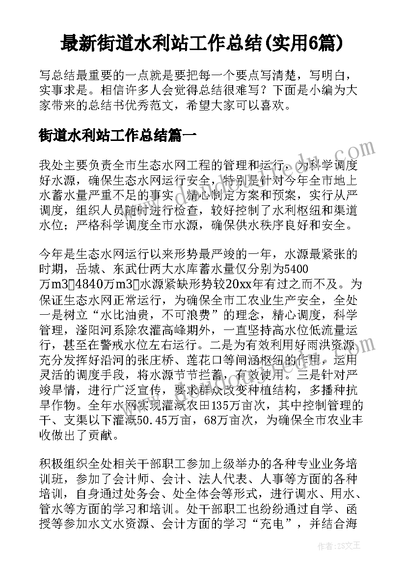 最新街道水利站工作总结(实用6篇)