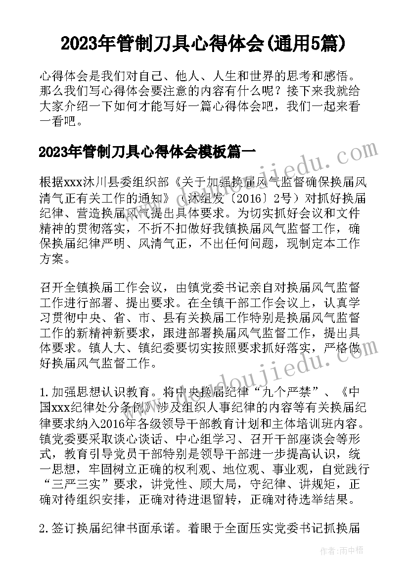 2023年管制刀具心得体会(通用5篇)