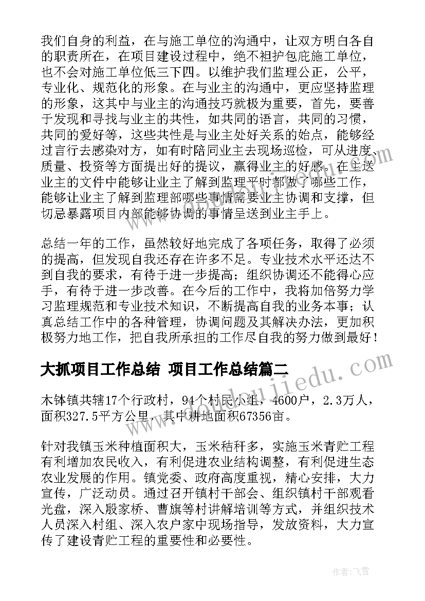 2023年大抓项目工作总结 项目工作总结(优秀8篇)