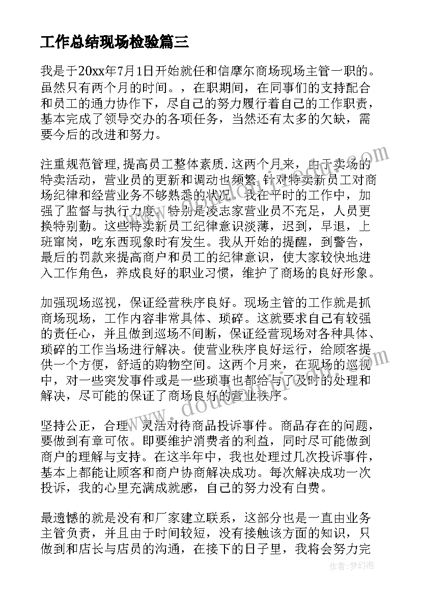 2023年工作总结现场检验(大全5篇)