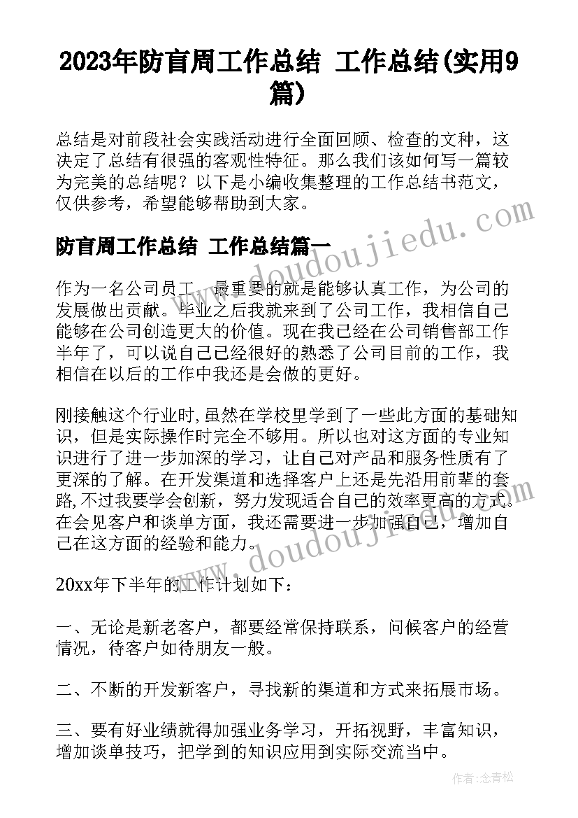 2023年防盲周工作总结 工作总结(实用9篇)