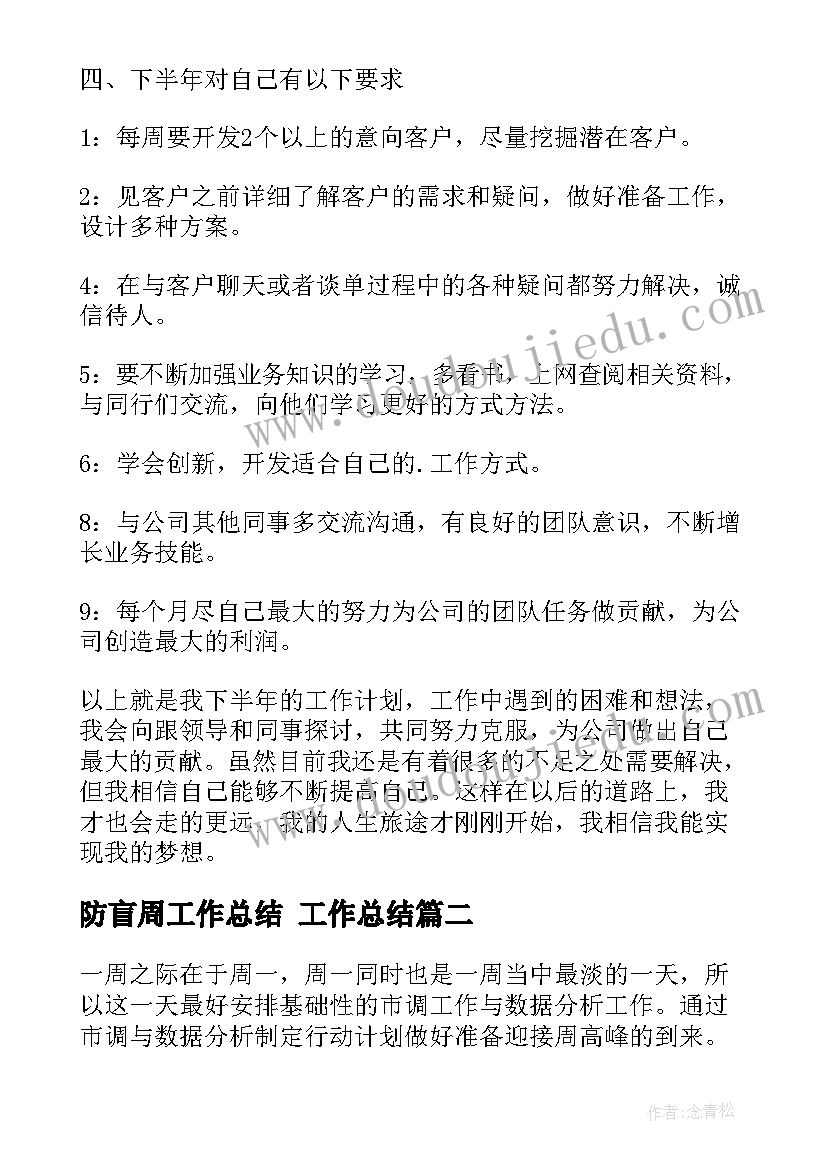 2023年防盲周工作总结 工作总结(实用9篇)