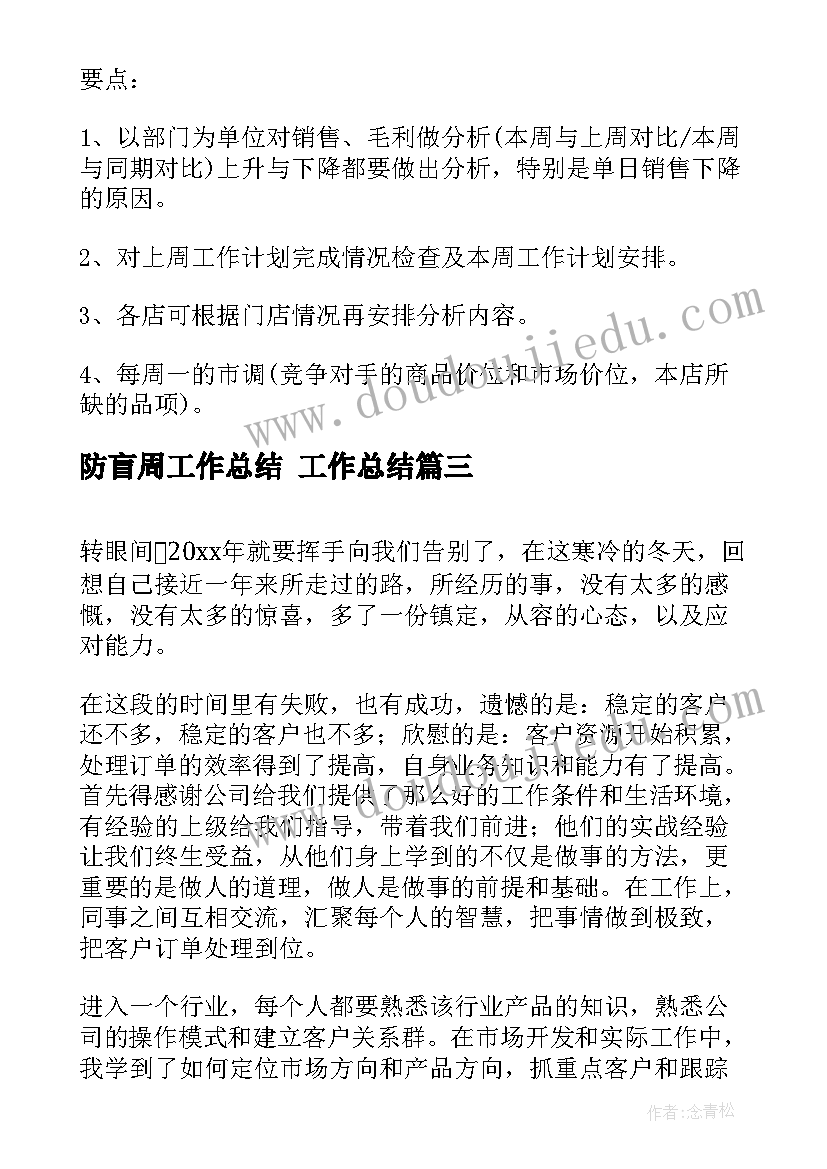 2023年防盲周工作总结 工作总结(实用9篇)