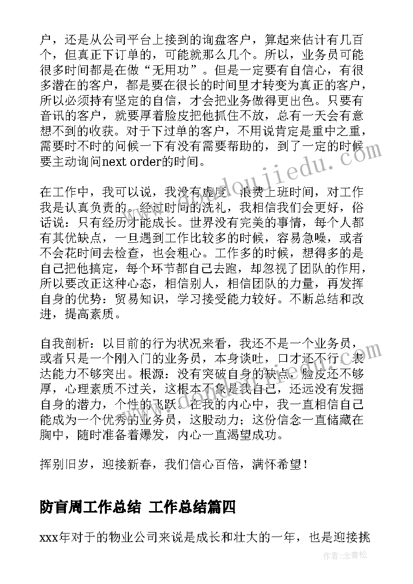 2023年防盲周工作总结 工作总结(实用9篇)