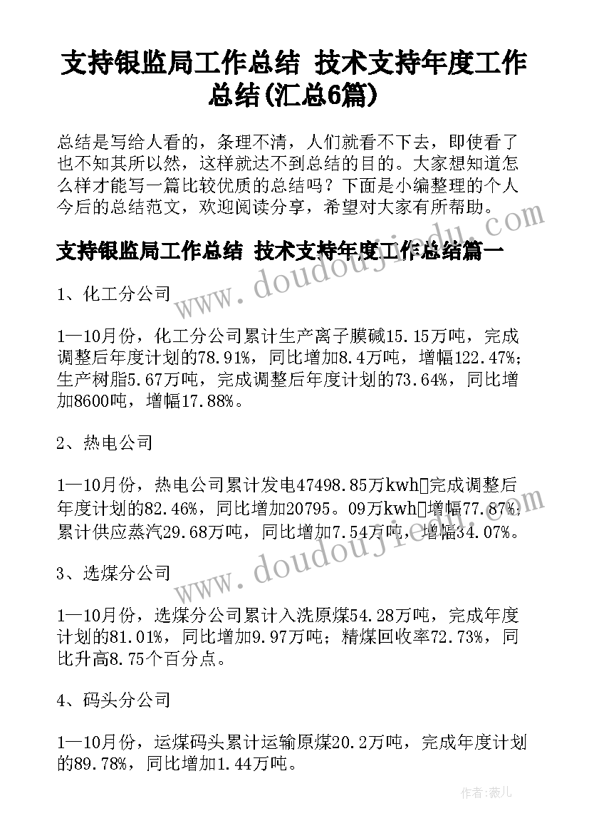 支持银监局工作总结 技术支持年度工作总结(汇总6篇)