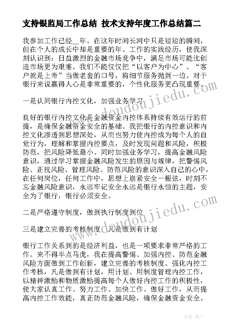 支持银监局工作总结 技术支持年度工作总结(汇总6篇)