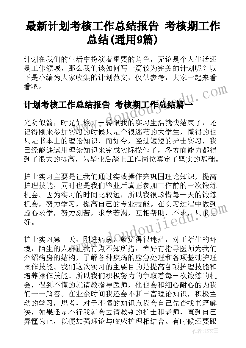 最新计划考核工作总结报告 考核期工作总结(通用9篇)