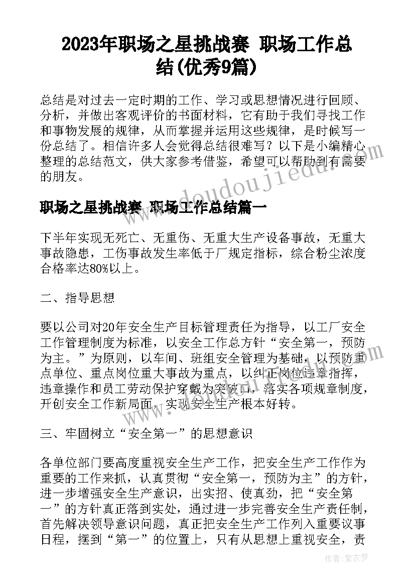 2023年职场之星挑战赛 职场工作总结(优秀9篇)