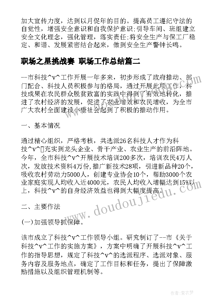 2023年职场之星挑战赛 职场工作总结(优秀9篇)