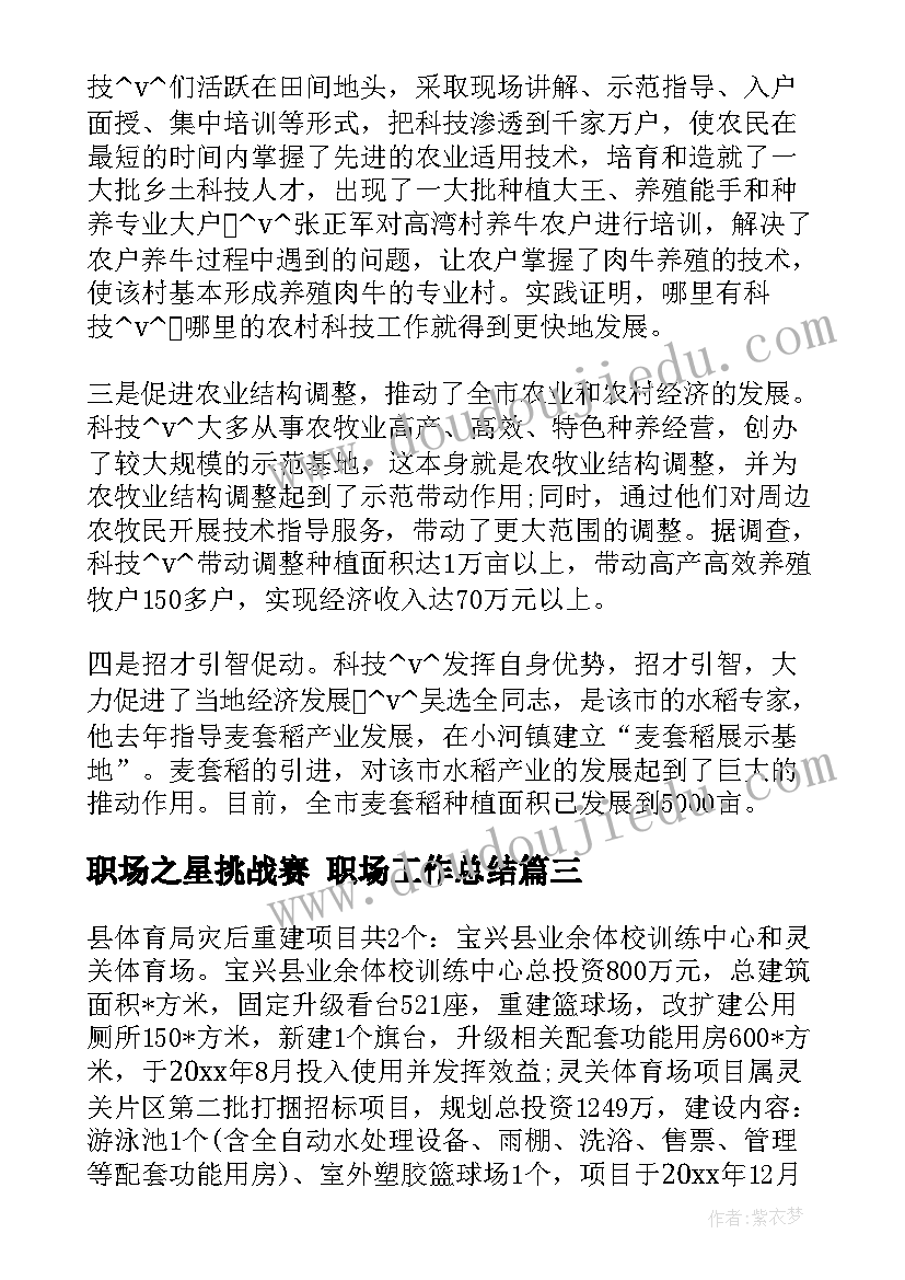 2023年职场之星挑战赛 职场工作总结(优秀9篇)