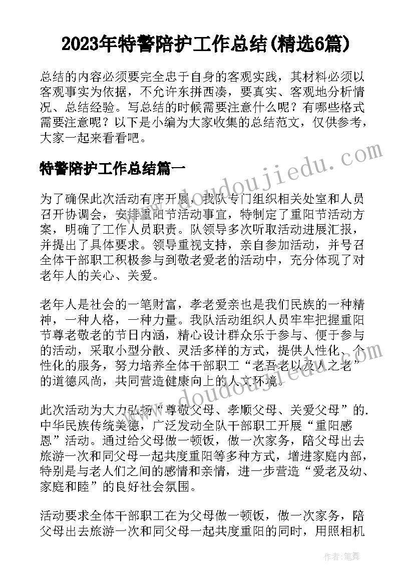 2023年特警陪护工作总结(精选6篇)