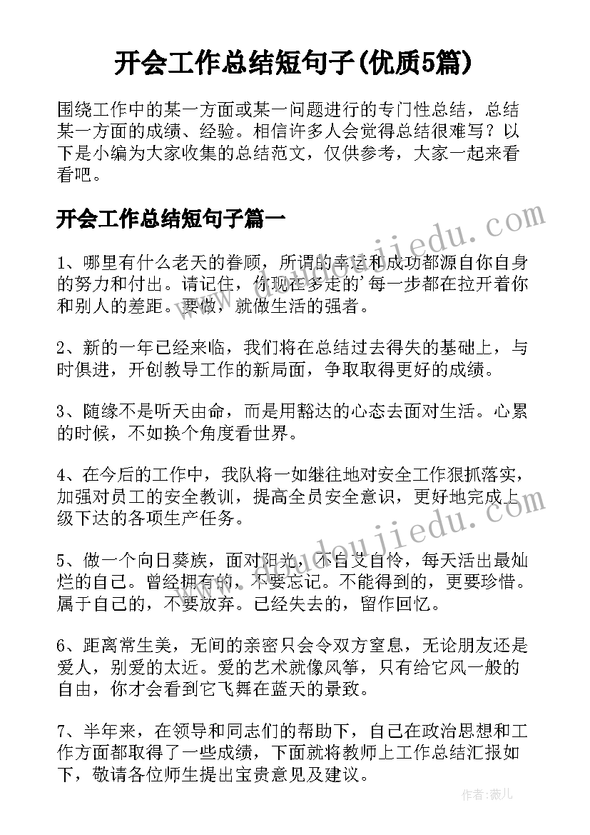 开会工作总结短句子(优质5篇)