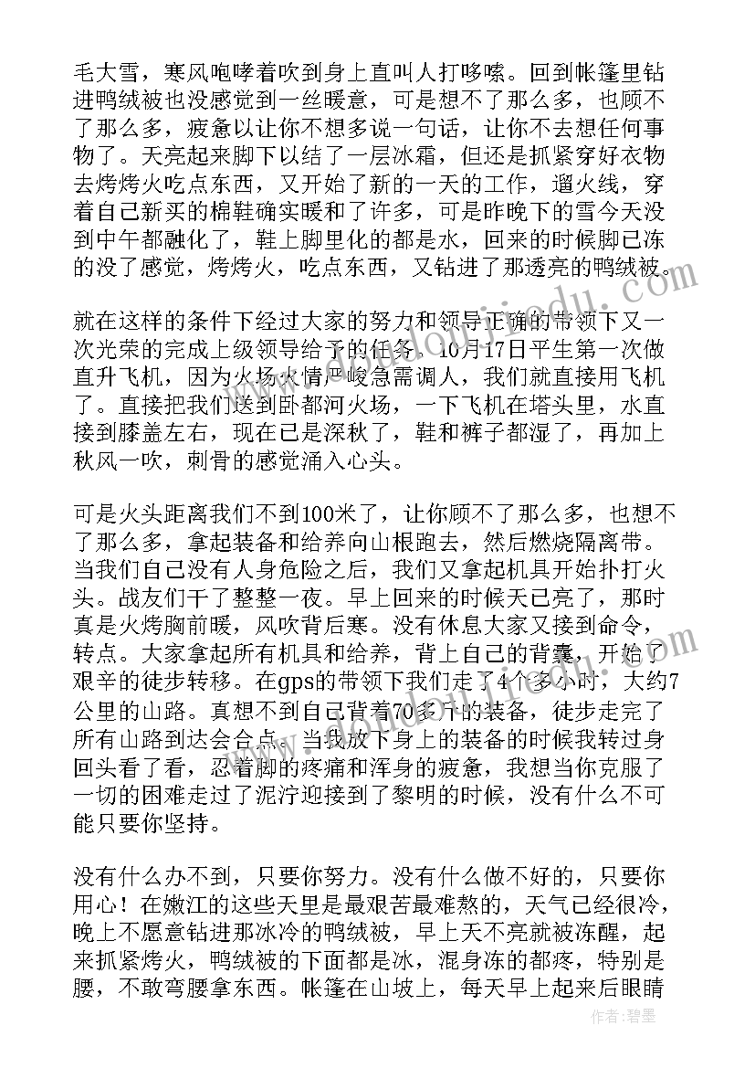 最新全年森林防火工作总结(汇总5篇)