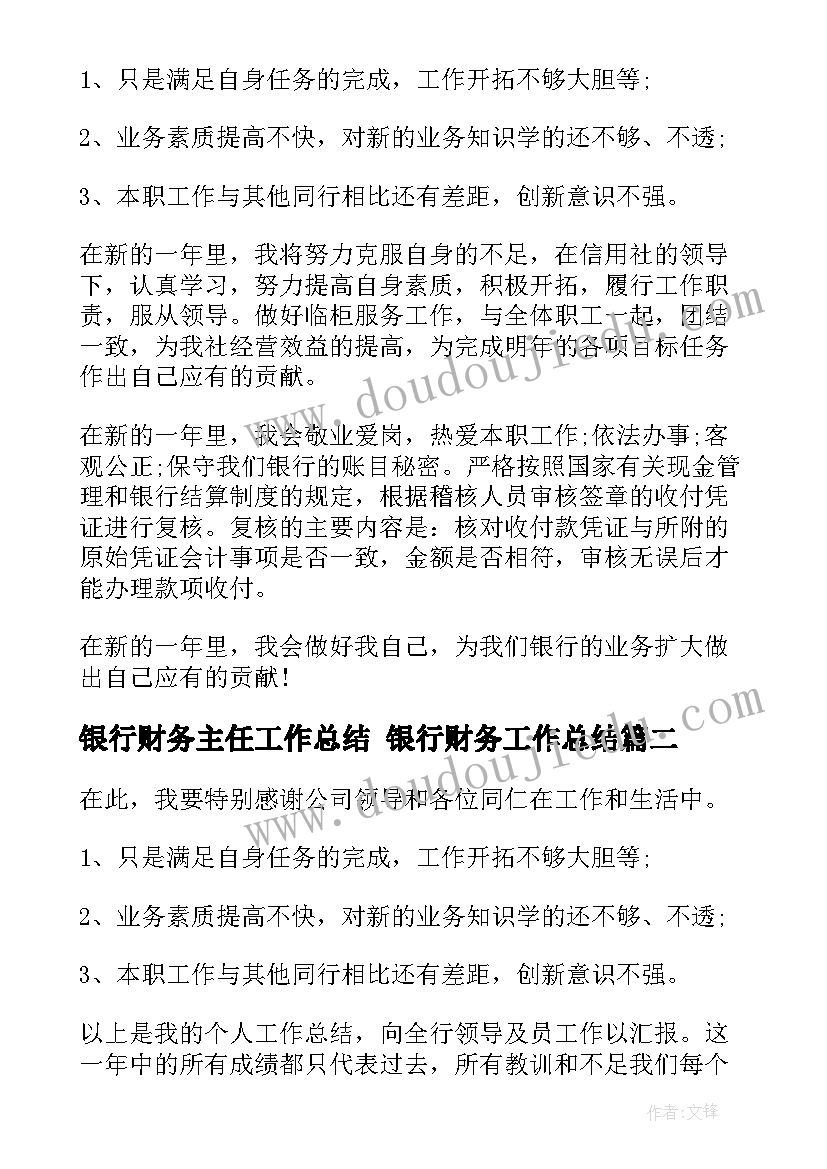 银行财务主任工作总结 银行财务工作总结(优质6篇)