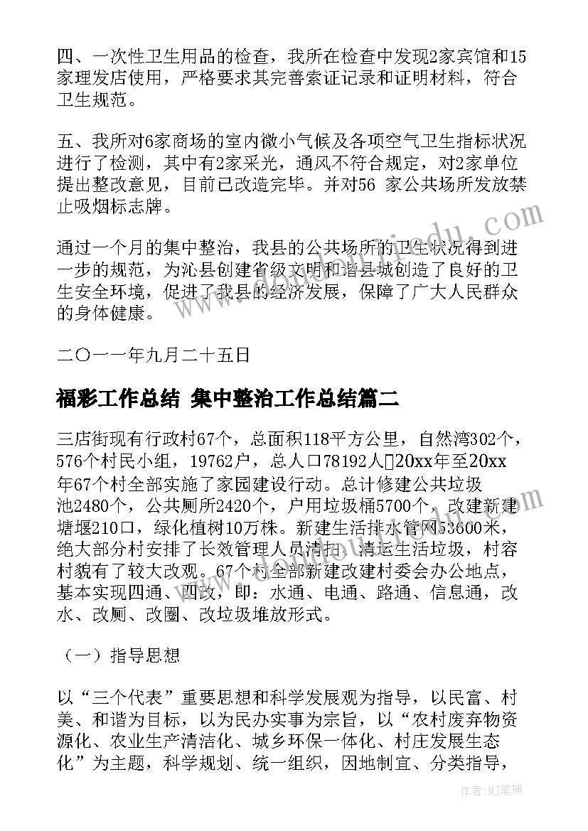 最新福彩工作总结 集中整治工作总结(通用9篇)