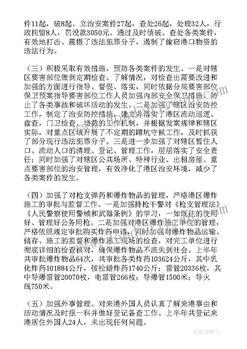 公安团工作总结报告(优质5篇)